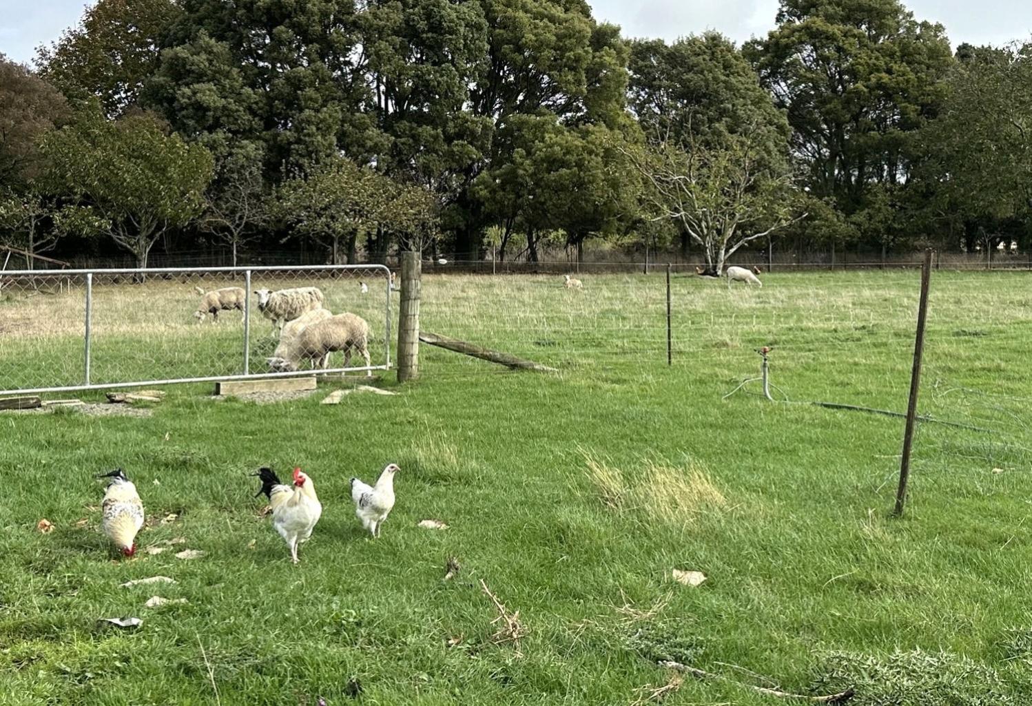 ネルソン Country Retreats On Ranzau 1ヴィラ エクステリア 写真